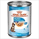 Royal Canin Size Health Nutrition Large Puppy Thin Slices in Gravy Wet Dog Food, 13-oz, case of 12