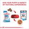 Show in main carousel: Royal Canin Size Health Nutrition Medium Puppy Thin Slices in Gravy Wet Dog Food, 13-oz, case of 12 slide 5 of 12