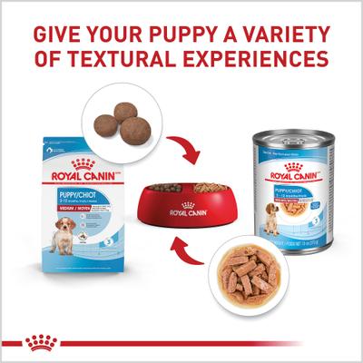 Show full view: Royal Canin Size Health Nutrition Medium Puppy Thin Slices in Gravy Wet Dog Food, 13-oz, case of 12 slide 5 of 12
