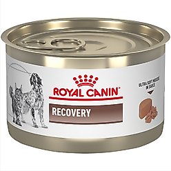 Royal Canin Veterinary Diet Recovery Ultra Soft Mousse in Sauce Wet Dog & Cat Food, 5.1-oz can, case of 24
