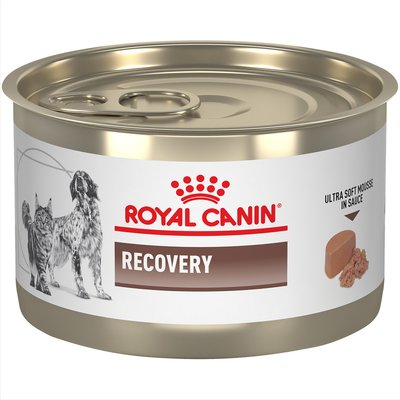 Royal Canin Veterinary Diet Royal Canin Veterinary Diet Recovery Ultra Soft Mousse in Sauce Wet Dog & Cat Food, 5.1-oz can, case of 24