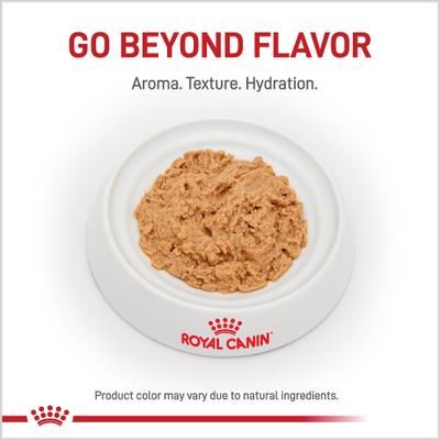 Show full view: Royal Canin Veterinary Diet Recovery Ultra Soft Mousse in Sauce Wet Dog & Cat Food, 5.1-oz can, case of 24 slide 3 of 12