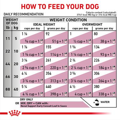 Show full view: Royal Canin Veterinary Diet Renal Support Early Consult Dry Dog Food, 5.5-lb bag slide 9 of 11