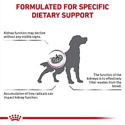 Royal Canin Veterinary Diet Renal Support Early Consult Dry Dog Food, 5.5-lb bag slide 2 of 8