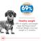 Show in main carousel: Royal Canin Canine Care Nutrition X-Small Weight Care Dry Dog Food, 2.2-lb slide 3 of 10