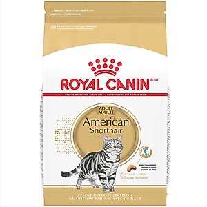 ROYAL CANIN Feline Breed Nutrition Bengal Adult Dry Cat Food