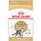 Show in main carousel: Royal Canin Feline Breed Nutrition American Shorthair Adult Dry Cat Food, 5.5-lb bag slide 1 of 12