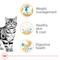 Show in main carousel: Royal Canin Feline Breed Nutrition American Shorthair Adult Dry Cat Food, 5.5-lb bag slide 3 of 12