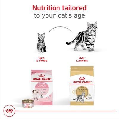 Show full view: Royal Canin Feline Breed Nutrition American Shorthair Adult Dry Cat Food, 5.5-lb bag slide 5 of 12