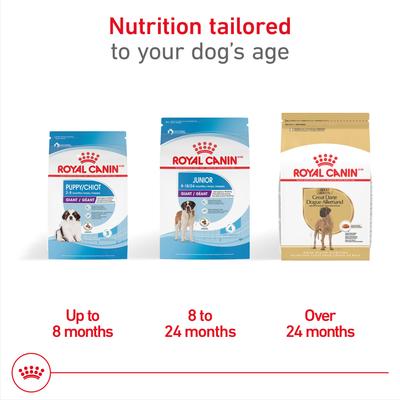 Show full view: Royal Canin Breed Health Nutrition Great Dane Adult Dry Dog Food, 30-lb bag slide 6 of 11