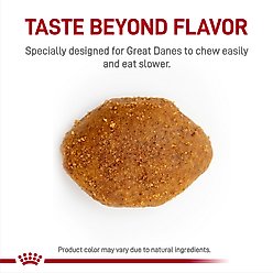 Royal Canin Breed Health Nutrition Great Dane Adult Dry Dog Food, 30-lb bag slide 2 of 8