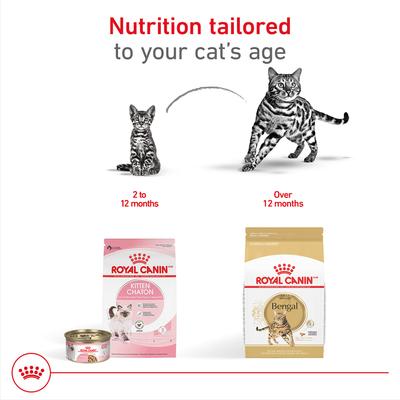 Show full view: Royal Canin Feline Breed Nutrition Bengal Adult Dry Cat Food, 7-lb bag slide 5 of 12