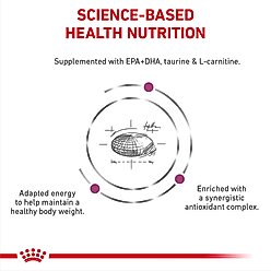 Royal Canin Veterinary Diet Adult Renal Support D Thin Slices in Gravy Canned Dog Food, 13-oz, case of 24 slide 2 of 9