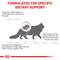 Show in main carousel: Royal Canin Veterinary Diet Adult Renal Support S Dry Cat Food, 3-lb bag slide 5 of 11