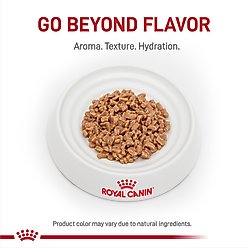 Royal Canin Veterinary Diet Adult Renal Support D Thin Slices in Gravy Wet Cat Food, 3-oz, case of 24 slide 2 of 9