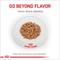 Show in main carousel: Royal Canin Veterinary Diet Adult Renal Support T Thin Slices in Gravy Wet Cat Food, 3-oz can, case of 24 slide 3 of 12
