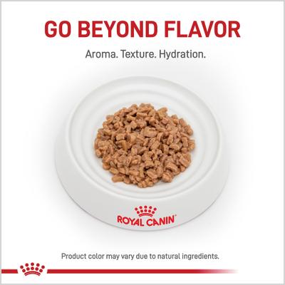 Show full view: Royal Canin Veterinary Diet Adult Renal Support T Thin Slices in Gravy Wet Cat Food, 3-oz can, case of 24 slide 3 of 12