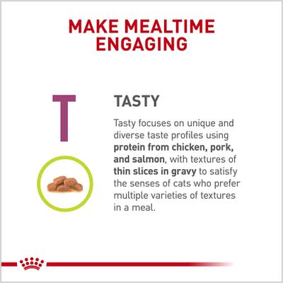 Show full view: Royal Canin Veterinary Diet Adult Renal Support T Thin Slices in Gravy Wet Cat Food, 3-oz can, case of 24 slide 5 of 12