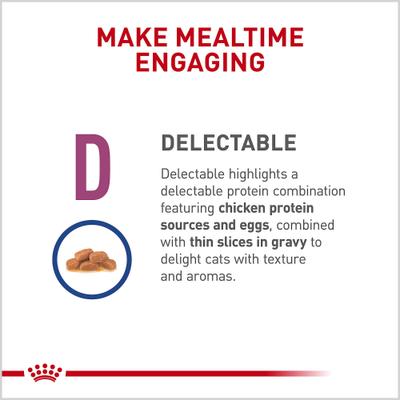 Show full view: Royal Canin Veterinary Diet Adult Renal Support D Thin Slices in Gravy Wet Cat Food, 3-oz, case of 24 slide 5 of 12