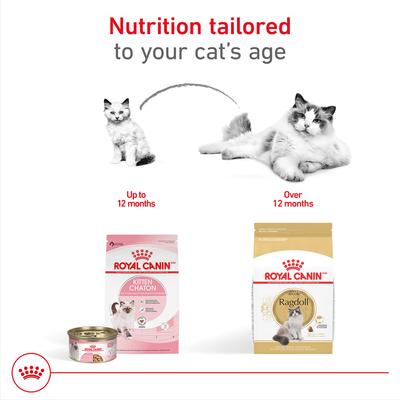 Show full view: Royal Canin Feline Breed Nutrition Ragdoll Adult Dry Cat Food, 7-lb bag slide 5 of 12