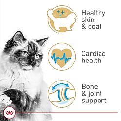 Royal Canin Feline Breed Nutrition Ragdoll Adult Dry Cat Food, 7-lb bag slide 2 of 8