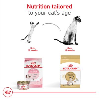 Show full view: Royal Canin Feline Breed Nutrition Siamese Adult Dry Cat Food, 6-lb bag slide 5 of 12