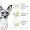 Show in main carousel: Royal Canin Feline Breed Nutrition Siamese Adult Dry Cat Food, 6-lb bag slide 3 of 12
