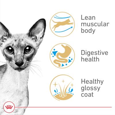 Show full view: Royal Canin Feline Breed Nutrition Siamese Adult Dry Cat Food, 6-lb bag slide 3 of 12
