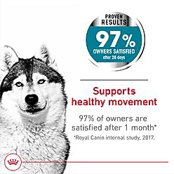 Royal Canin Large Joint Care Dry Dog Food, 30-lb bag slide 2 of 7