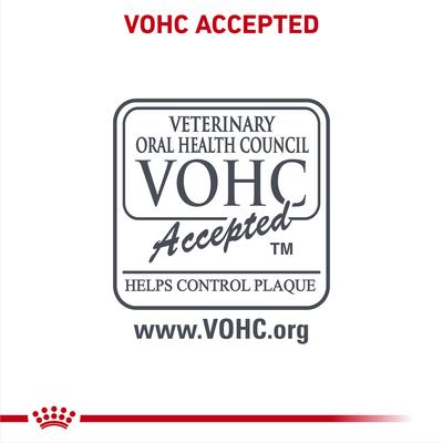 Show full view: Royal Canin Veterinary Diet Adult Dental Medium & Large Breed Dry Dog Food, 7.7-lb bag slide 6 of 11