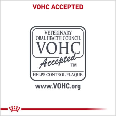 Show full view: Royal Canin Veterinary Diet Adult Dental Small Breed Dry Dog Food, 8.8-lb bag slide 7 of 12