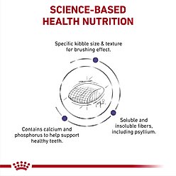 Royal Canin Veterinary Diet Adult Dental Dry Cat Food, 7.7-lb bag slide 2 of 8