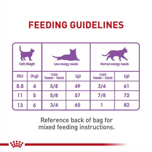 Royal Canin Feline Care Nutrition Adult Appetite Control Care Dry Cat Food, 6-lb bag
