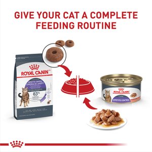 Royal Canin Feline Care Nutrition Adult Appetite Control Care Dry Cat Food, 6-lb bag
