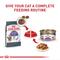 Show in main carousel: Royal Canin Feline Care Nutrition Adult Appetite Control Care Dry Cat Food, 6-lb bag slide 6 of 11