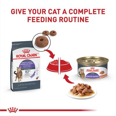 Show full view: Royal Canin Feline Care Nutrition Adult Appetite Control Care Dry Cat Food, 6-lb bag slide 6 of 11