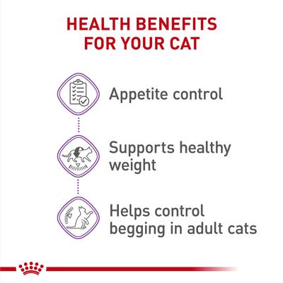 Show full view: Royal Canin Feline Care Nutrition Adult Appetite Control Care Dry Cat Food, 6-lb bag slide 4 of 11