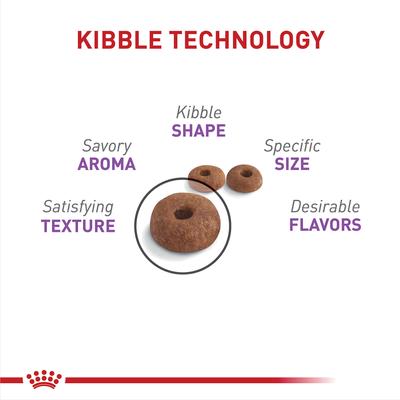 Show full view: Royal Canin Feline Care Nutrition Adult Appetite Control Care Dry Cat Food, 6-lb bag slide 3 of 11