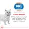 Show in main carousel: Royal Canin Canine Care Nutrition Small Weight Care Adult Dry Dog Food, 13-lb bag slide 3 of 11