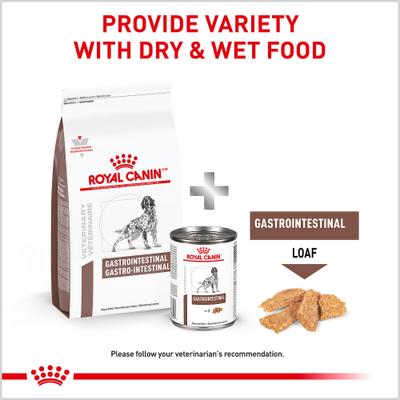 Show full view: Royal Canin Veterinary Diet Adult Gastrointestinal Loaf Wet Dog Food, 13.5-oz can, case of 24 slide 5 of 13