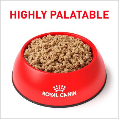 Show full view: Royal Canin Veterinary Diet Adult Gastrointestinal Loaf Wet Dog Food, 13.5-oz can, case of 24 slide 3 of 13