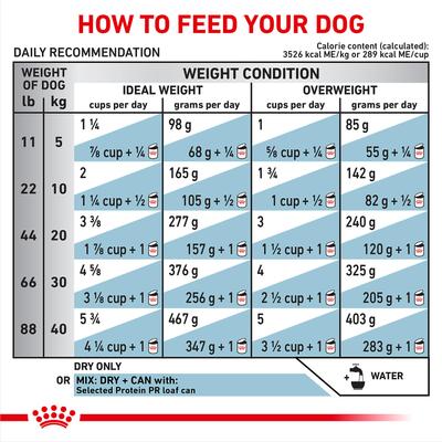 Show full view: Royal Canin Veterinary Diet Selected Protein Potato & Rabbit Formula Adult Dry Dog Food, 7.7-lb bag slide 9 of 11