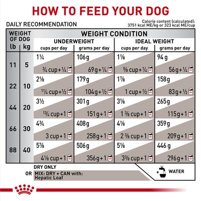 Show full view: Royal Canin Veterinary Diet Adult Hepatic Dry Dog Food, 7.7-lb bag slide 8 of 11