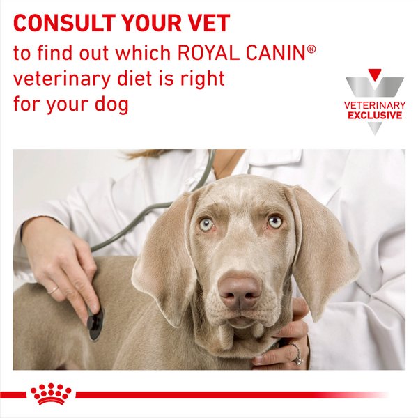 Royal Canin Veterinary Diet Multifunction Urinary SO + Satiety Loaf in Sauce Wet Dog Food