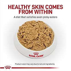 Royal Canin Veterinary Diet Adult Hydrolyzed Protein Loaf Wet Dog Food, 13.7-oz can, case of 24 slide 2 of 9