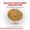Show in main carousel: Royal Canin Veterinary Diet Adult Hydrolyzed Protein Loaf Wet Dog Food, 13.7-oz can, case of 24 slide 3 of 12