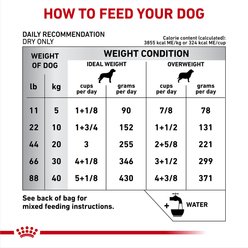 Royal Canin Veterinary Diet Adult Hydrolyzed Protein HP Dry Dog Food, 1.5-lb bag slide 2 of 9