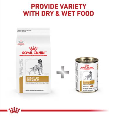 Show full view: Royal Canin Veterinary Diet Adult Urinary SO Moderate Calorie Dry Dog Food, 7.7-lb bag slide 6 of 11