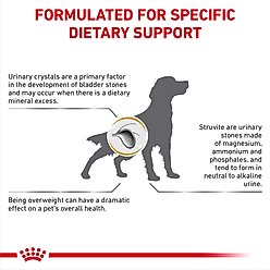 Royal Canin Veterinary Diet Adult Urinary SO Moderate Calorie Dry Dog Food, 7.7-lb bag slide 2 of 8