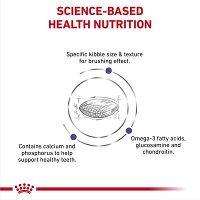 Show full view: Royal Canin Veterinary Diet Adult Dental Medium & Large Breed Dry Dog Food, 7.7-lb bag slide 4 of 11